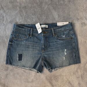 LOFT Distressed Blue Jean Shorts Size 6